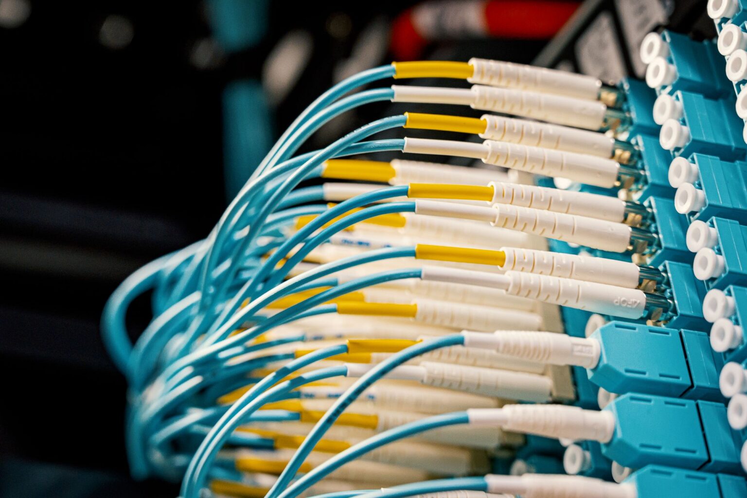 Fibre optic cables at a patch panel, the basis of business connectivity